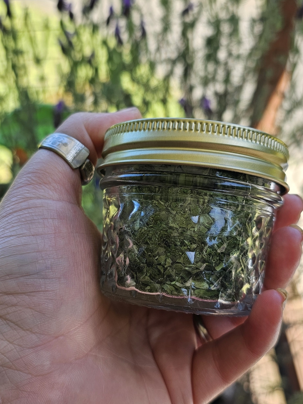 4oz Jar Of Dried Catnip From My Garden